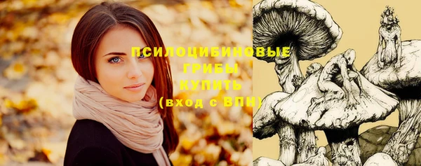 спиды Зеленодольск