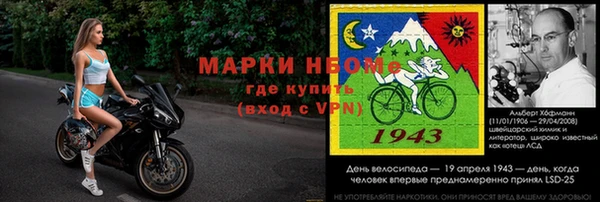 прущие грибы Зеленокумск