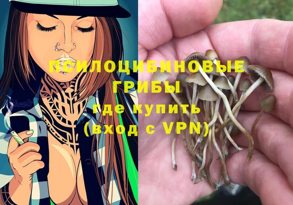 соль ск Зерноград