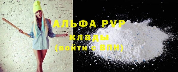 прущие грибы Зеленокумск